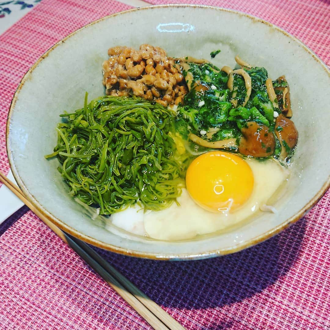 竹内都子さんのインスタグラム写真 - (竹内都子Instagram)「めかぶ納豆蕎麦  我が家の夏の定番メニュー めかぶ・納豆・とろろ・モロヘイヤ・ナメコ・卵！栄養満点💯お腹いっぱいの一品です  #めかぶ #納豆 #とろろ #蕎麦 #モロヘイヤ #ナメコ #卵 #定番メニュー #」7月15日 11時08分 - miyako_ciao