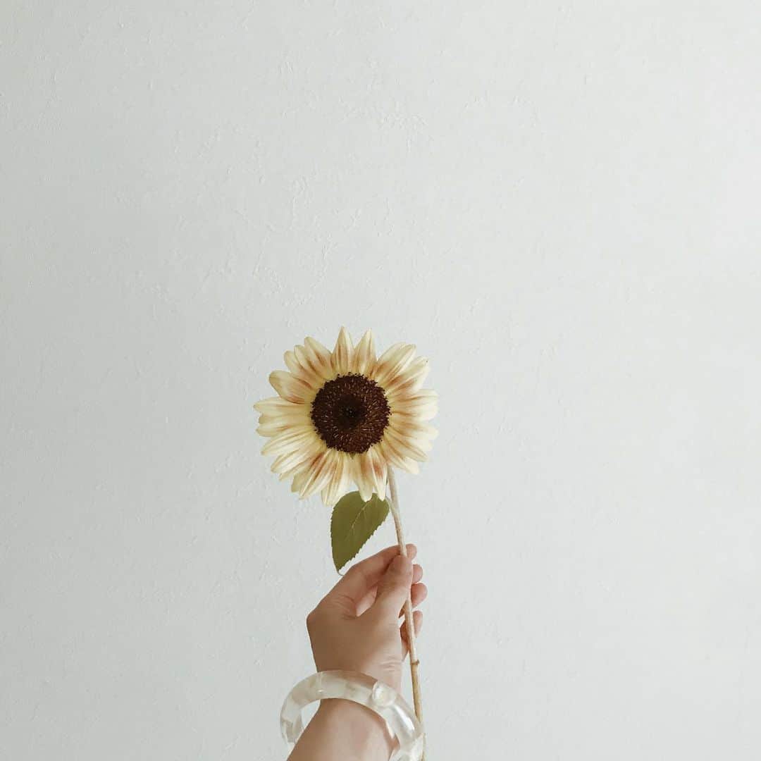 yuiのインスタグラム：「sunflower🌻 やっと晴れて嬉しい水曜日。まだ梅雨は明けてないけど、セミも鳴き始めて一気に夏がやってきた感じでわくわく◎とりあえず洗濯物を思いっきり外に干したい！」