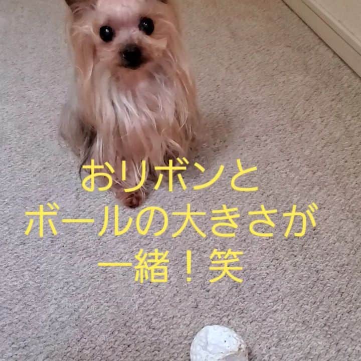 武東由美のインスタグラム