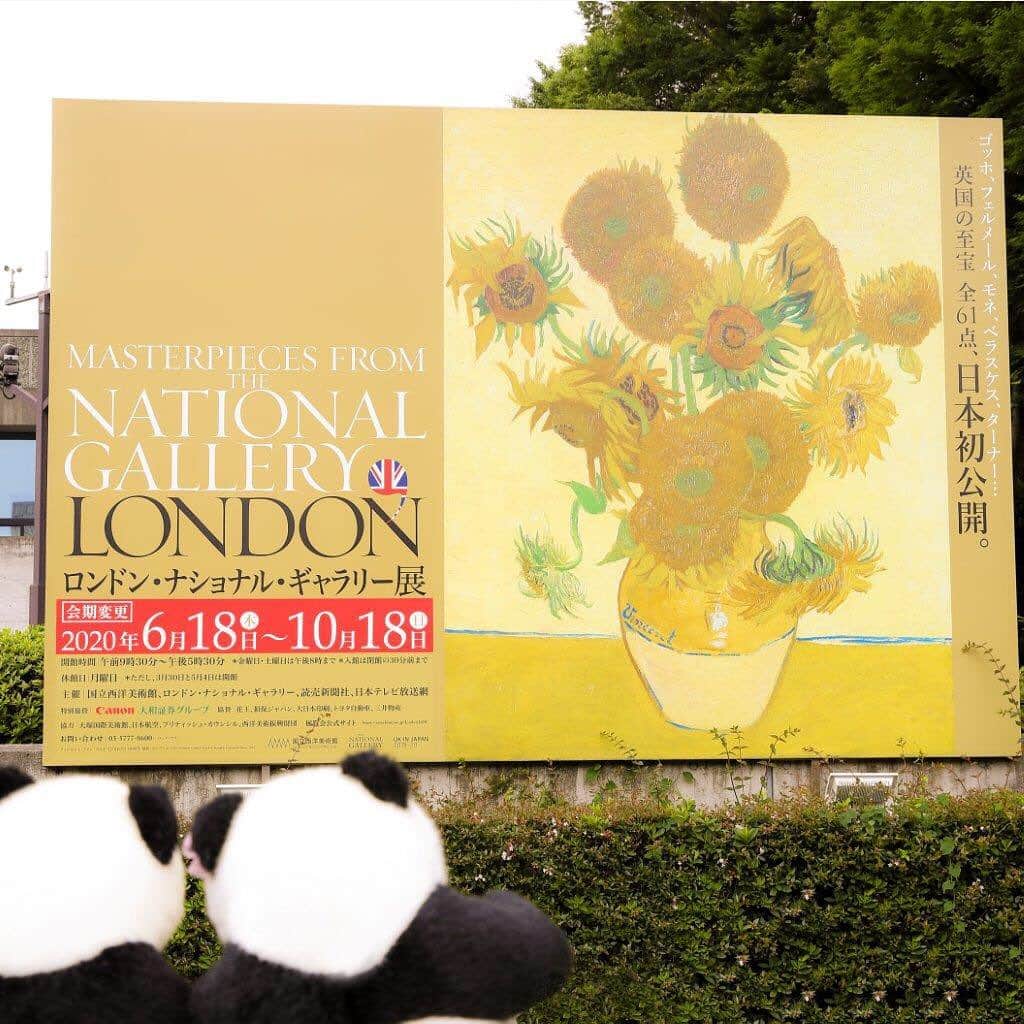 アトレ上野（atre ueno）さんのインスタグラム写真 - (アトレ上野（atre ueno）Instagram)「"英国が誇る世界屈指の美の殿堂、ロンドンナショナルギャラリー展を観に国立西洋美術館に来たよ🐾✨ ゴッホのひまわり🌻やフェルメール、レンブラントの傑作が一度に観れるなんて嬉しいなぁ🐼💕 これまで国外で所蔵作品展が開催されたことがないから、史上初めての機会で歴史的な展覧会なんだって✨ 入場人数制限をしながら実施しているので詳しくはHPを見てみてね💡"  "We visited to National Museum of Western Art for Masterpieces from the NATIONAL GALLERY LONDON🐾✨ We were happy that we could see Gogh’s sunflower🌻, Vermeer’s arts and Rembrandt’s ones🐼💕 It’s a historic exhibition because the collection exhibition has never held in the other countries✨ They have a limited number of entry to the exhibition so please check their website💡"  "今天來國立西洋美術館看，在英國首屈一指的“倫敦國家美術館”🐾✨ 一次能把梵高的向日葵🌻到維米爾，倫勃朗的名作全部看到，真的讓人太開心了呢🐼💕 聽說這是第一次在英國以外的地方辦展覽，所以是史上第一次、有著歷史性意義的展覽✨ 本次活動有人數限制，詳情請查看網站💡"  #上野 #アトレ上野 #アトレ #atre #atreueno #パンダ #上野パンダ #上野散策 #熊猫 #東京観光 #PANDA #🐼 #ueno #tokyotour #ぬい撮り #nationalgallerylondon #nationalgallerylondon🇬🇧 #nationalmuseumofwesternart #uenopark #ゴッホ #フェルメール #レンブラント #ロンドンナショナルギャラリー展 #上野公園 #国立西洋美術館 #美術館 #美術館巡り #ぬい旅 #ぬい撮り部 #ぬい撮りさんと繋がりたい」7月15日 11時39分 - atre.ueno