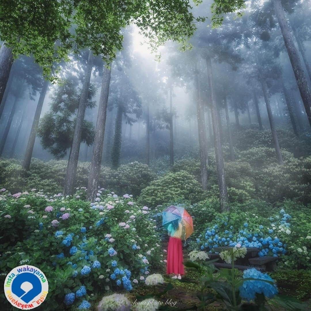 和歌山県のグルメインスタ