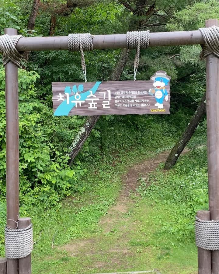 パク・チュンフンのインスタグラム：「#치유하러... #healing #힐링#박중훈」