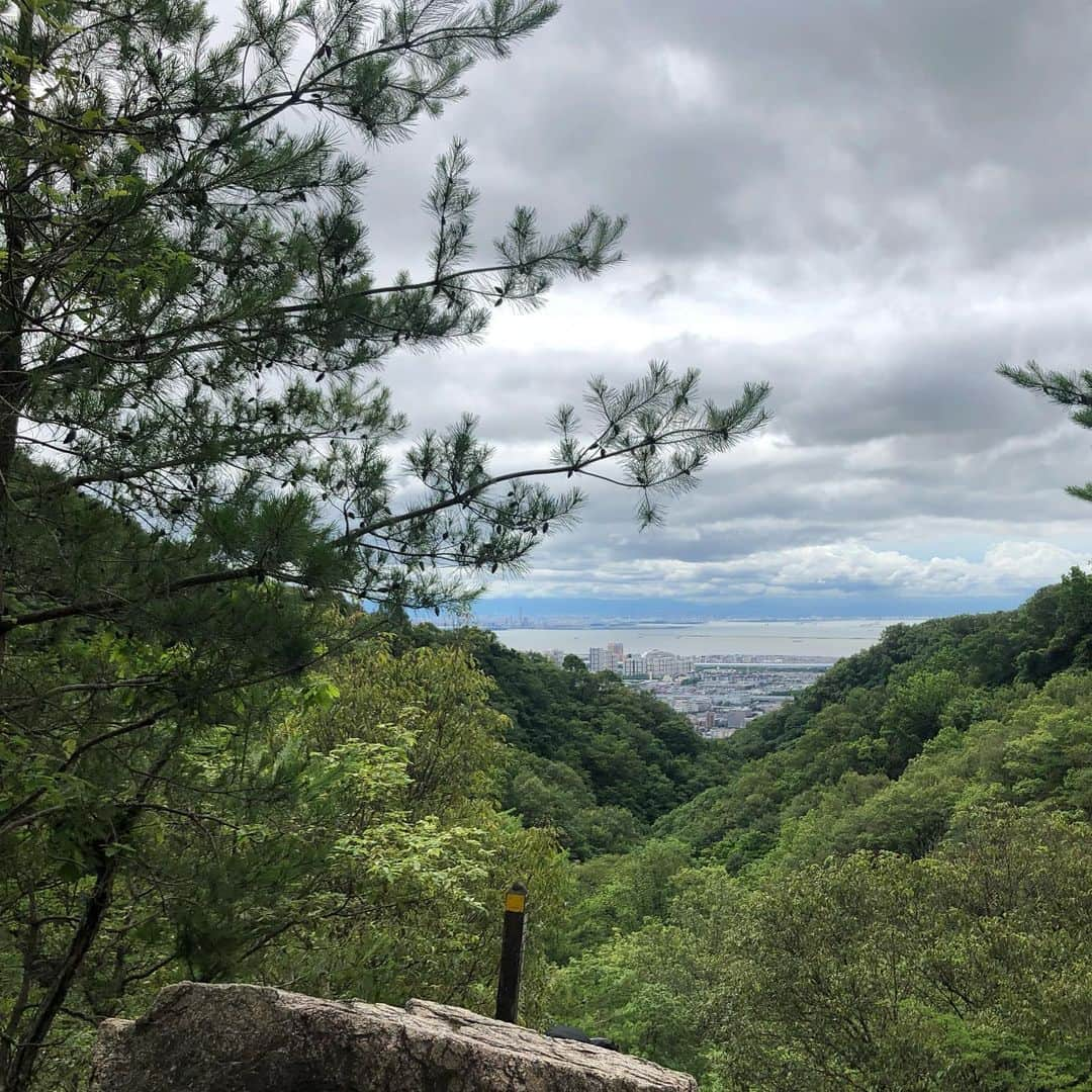 前田彩名さんのインスタグラム写真 - (前田彩名Instagram)「大好きな #六甲山 の定番コース！ ロックガーデンへ。 アスレチック感覚で岩をグングン上がるのは、やっぱり楽しい🙌。 空気が澄んで遠くまで綺麗に見えました✨。  しかし‥ 風吹岩が落石注意でまさかの閉鎖😵❗️。  休憩しようと思ってた人たちが、 行く宛を彷徨っていました。苦笑  閉鎖されてるコースもあったりして、 想定外の登山になった人もいたのでは。  今回は初めて登山する子もいたので、  芦屋川〜高座の滝〜ロックガーデン〜 風吹岩(の前)〜金鳥山方面〜保久良梅林〜岡本  山頂から有馬に抜けるか、 東おたふく山コースに行くことが多かったので、下山ルートは初めてで新鮮でした。  街よりは気持ち涼しかったけど、 やっぱり歩いたら暑くて、 マスクしながら登山は厳しい😅。。  すれ違う時にタオルやネックゲイターで 口元を覆っている人が多かったです。  京都マラソンの時に、 ネックゲイター便利そうやし欲しいなーって思いながら見ていたのですが、 いよいよ登山用に必要かも🤔。」7月15日 17時31分 - ayana.maeda