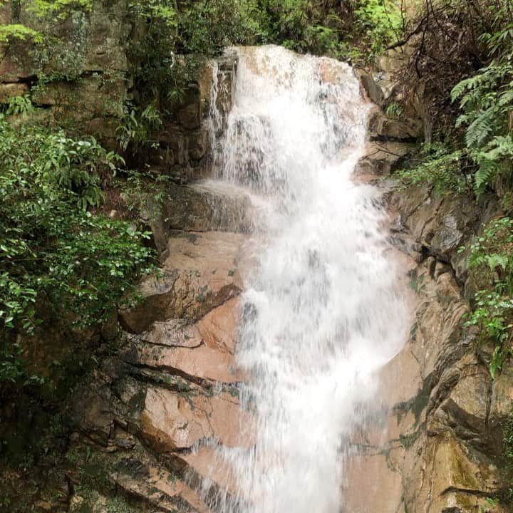 前田彩名のグルメインスタ
