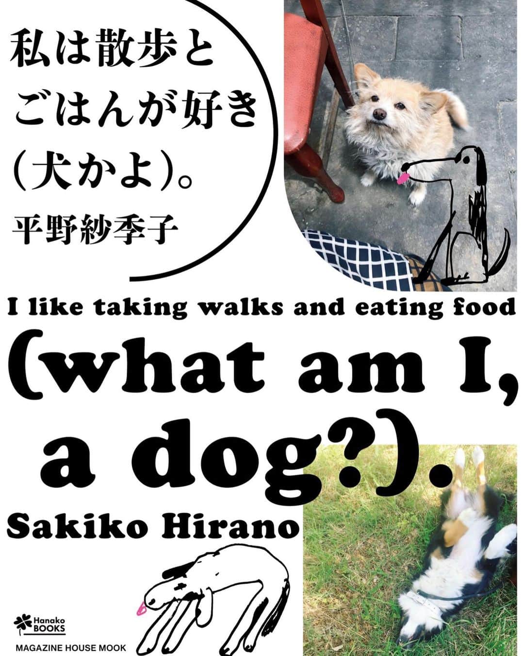 Hanako公式さんのインスタグラム写真 - (Hanako公式Instagram)「📢Hanakoの人気連載が1冊になりました。﻿フードエッセイスト・平野紗季子さん著 「私は散歩とごはんが好き（犬かよ）。」が本日 7/15発売🐶﻿ ﻿ 「犬かよ。」の名の通り、散歩とごはんを愛する平野さんが散歩をしながら出合った人、もの、味、体験、などについて、彼女の写真と共に、彼女のフィルターを通して語られるエッセイ集です🥛﻿ ﻿ ✔︎都内から世界まで。平野さんが巡った「犬かよMAP」。﻿ ✔︎雑色、勝どき、伊東、はたまたカンボジアの小さな都市も。﻿ ✔︎特別収録は会社員時代のランチを通じた日々を綴った「赤坂ランチOL日記」。﻿ ﻿ デザインは、「流行通信」、広告「キユーピーハーフ」など数々の作品を残す服部一成さん。ぜひ手にとってお楽しみください。﻿ ﻿ #Hanako #Hanako_magazine #平野紗季子 #お散歩 #コーヒースタンド #スイーツ巡り #スイーツ部 #おでかけ #カフェ部 #カフェ巡り #カメラ女子 #カメラ部 #東京グルメ #東京カフェ #テイクアウト #ランチタイム #おうちカフェ #デリバリーグルメ #テイクアウトグルメ #おやつの時間 #カフェごはん #コーヒーのある暮らし」7月15日 12時08分 - hanako_magazine
