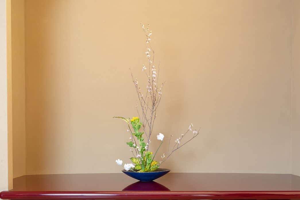 音月桂さんのインスタグラム写真 - (音月桂Instagram)「今回ご指導頂いた藤井先生は 旅先で宿泊したお部屋を後にする際、 感謝の気持ちを込めて、一輪のお花を生けてくる とお話下さいました。 お花というラブレター…とっても素敵ですね。  The flower heals our soul ♡  #音月桂の和文化ことはじめ #紡ぐプロジェクト #華道  https://tsumugu.yomiuri.co.jp/ https://twitter.com/art_tsumugu」7月15日 12時21分 - keiotozuki_official
