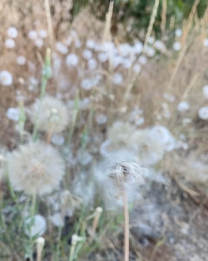 キーガン・アレンのインスタグラム：「Make a wish in the comments」