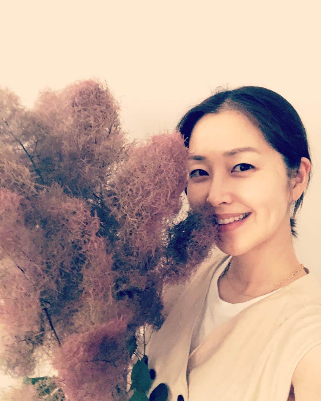 笛木優子のインスタグラム：「スモークツリー。  雨が続きますね。。。 適度に降ってくれたらいいのに… そうはいかないですね  これ以上被害が大きくなりませんように。  #スモークツリー」