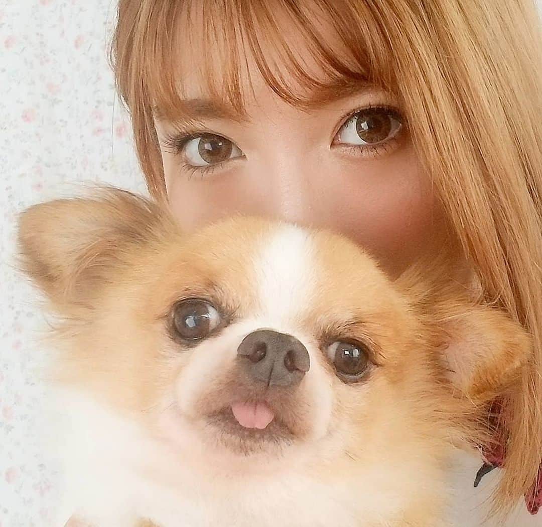 石関友梨のインスタグラム：「今日の15時～インスタLIVEやるよ✨遊びにきてね！覗くだけでも」