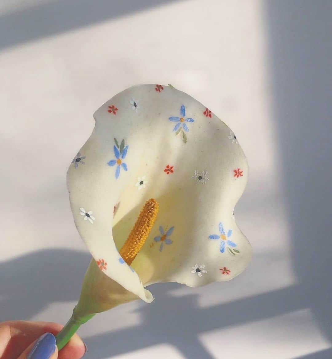 HONEY MI HONEY OFFICIALのインスタグラム
