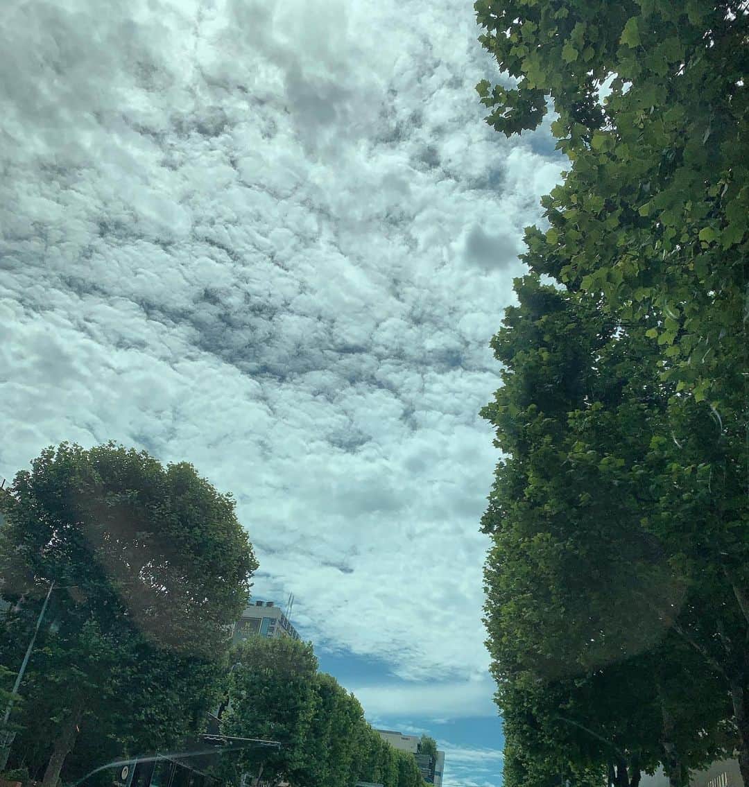 ソン・テヨンさんのインスタグラム写真 - (ソン・テヨンInstagram)「: 오늘 하늘은 멋진데......」7月15日 14時00分 - sontaeyoung_official