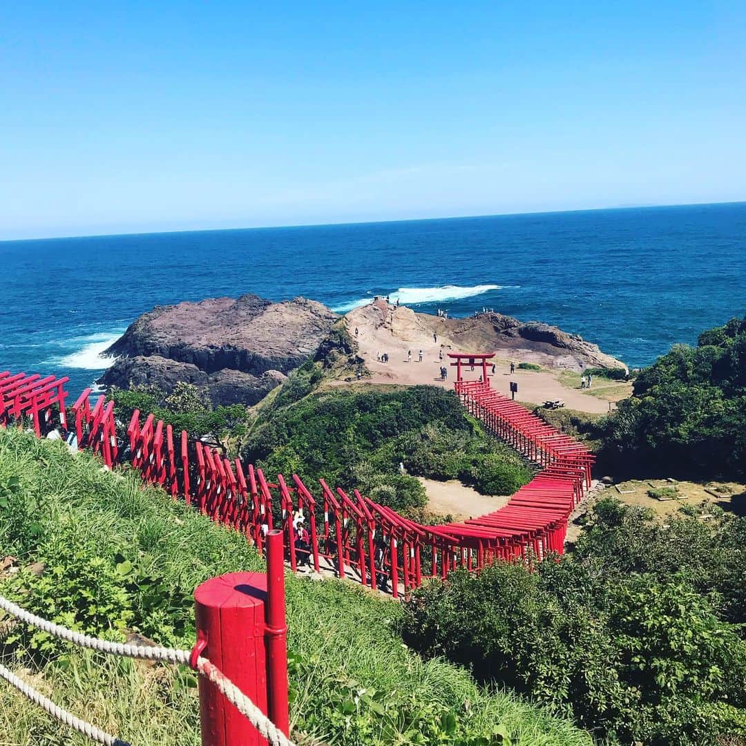 ミラのインスタグラム：「🐾⛰」