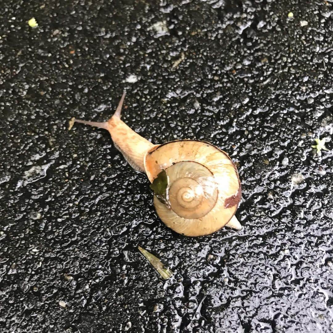 橋本大地のインスタグラム