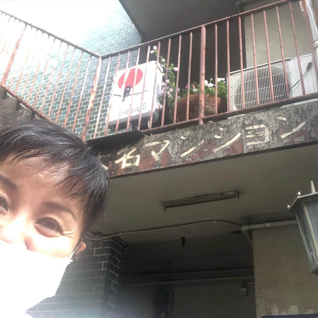 山本華世のインスタグラム