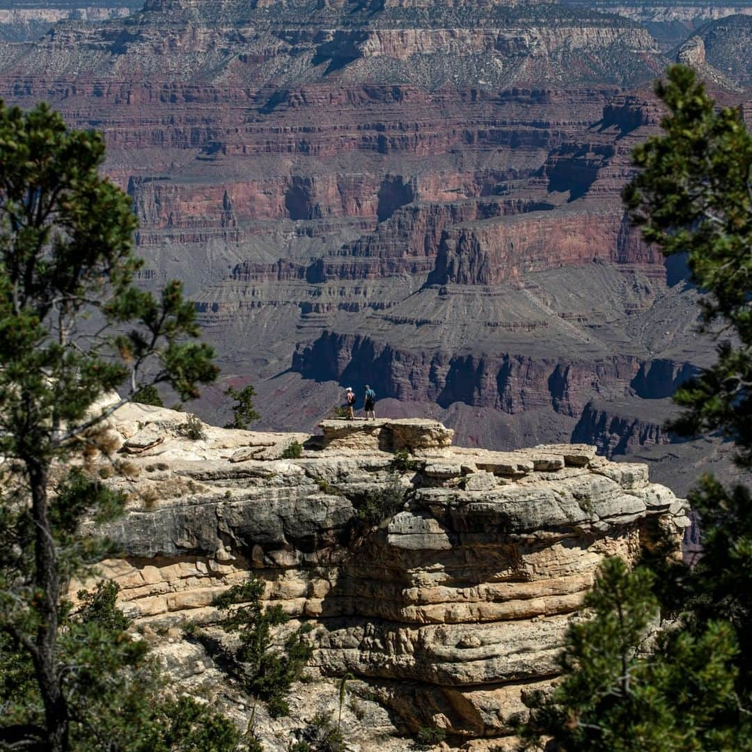 ニューヨーク・タイムズさんのインスタグラム写真 - (ニューヨーク・タイムズInstagram)「U.S. national parks may become the latest battleground in the fight over reopening. ⁣ ⁣ After months of lockdown, Americans are clamoring to return to the outdoors and families are seeking out safe vacations from limited options. Most national parks have at least partly reopened, including Grand Canyon National Park in Arizona. But infections are surging in Western states that host many of the country’s most-visited parks. ⁣ ⁣ Tap the link in our bio to read more about how the country’s 62 national parks are struggling with how to safely allow visitors while preventing outbreaks and what’s next for them. Photo by @adrianazehbrauskas from the South Rim of @grandcanyonnps last week. ⁣」7月16日 2時43分 - nytimes