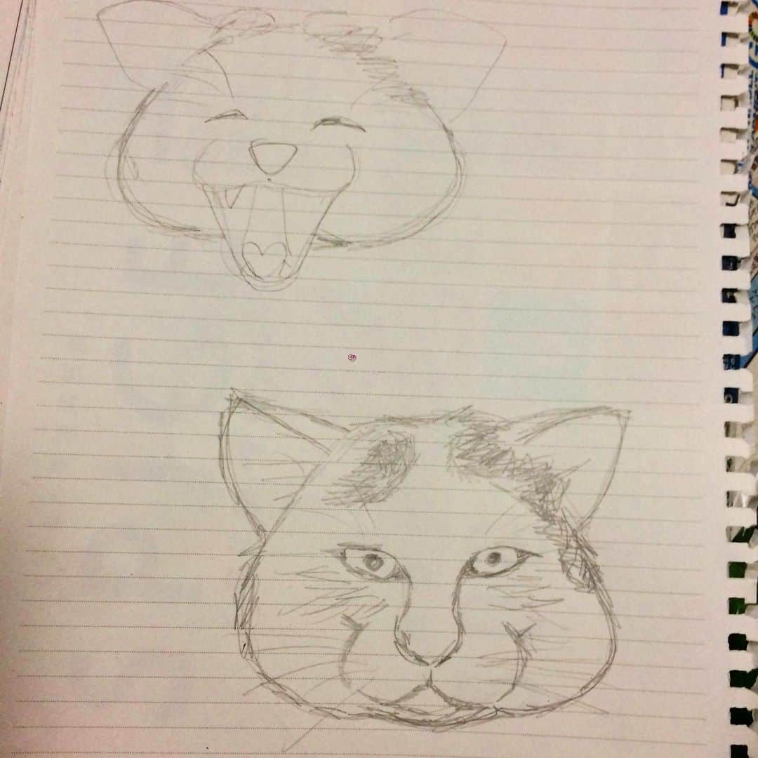 Kachimo Yoshimatsuさんのインスタグラム写真 - (Kachimo YoshimatsuInstagram)「だぶらげさん#③号さんが再び描いてくれました。ありがとうございました。 #うちの猫ら #ナナクロの絵 #nanakuro #ナナクロ #猫 #ねこ #cat #ネコ #catstagram #ネコ部 http://kachimo.exblog.jp」7月16日 1時27分 - kachimo