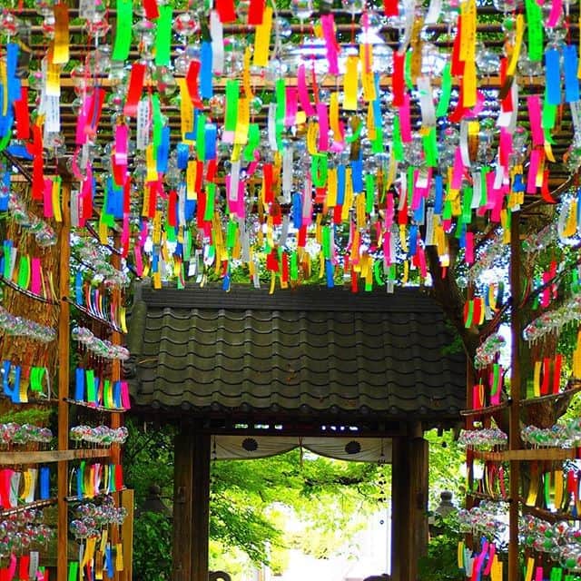 楽天トラベル さんのインスタグラム写真 - (楽天トラベル Instagram)「こんにちは😊 今日は目にも鮮やかな風鈴の写真をお届けします🎐 ーーーーーーーーーーーーーー 📍#如意輪寺 ( #かえる寺 ) （福岡県小郡市） ーーーーーーーーーーーーーー 境内には5000点以上のカエルの石像や置物があり、通称“かえる寺”として親しまれています。 夏を無事に越せるようにと願いを書いた風鈴を奉納する風鈴まつりは9月中旬まで開催。数千個の風鈴がびっしりと飾られたとても美しい光景が広がります。  ◆西鉄大牟田線三沢駅下車徒歩約10分 ーーーーーーーーーーーーーー Special Thanks💓 📸Photo by @yukappp.1212  みなさんの #次の旅先リスト もぜひ教えて下さいね ーーーーーーーーーーーーーー 旅先で出会った美しい風景や素敵な旅館などを  #rakutentravel を付けてぜひシェアしてください😊 このアカウントでご紹介させていただきます💗 ーーーーーーーーーーーーーー  #楽天トラベル #旅行好きな人と繋がりたい #旅したくなるフォト #旅行 #国内旅行 #旅行好き #旅行好きと繋がりたい #写真好きな人と繋がりたい #写真好きな人と繋がりたい #旅好き女子 #旅行好き女子 #travel #trip #japan #日本の景色 #日本の絶景 #日本の風景 #夏旅行 #夏旅行計画 #風鈴 #風鈴まつり #お出かけスポット #福岡 #福岡旅行 #福岡観光」7月15日 18時00分 - rakutentravel
