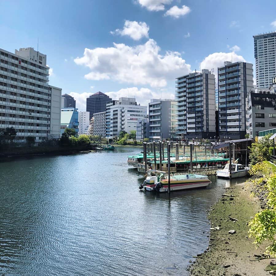岡田育さんのインスタグラム写真 - (岡田育Instagram)「Tokyo waterfront. #shinagawa」7月15日 18時11分 - okadaic