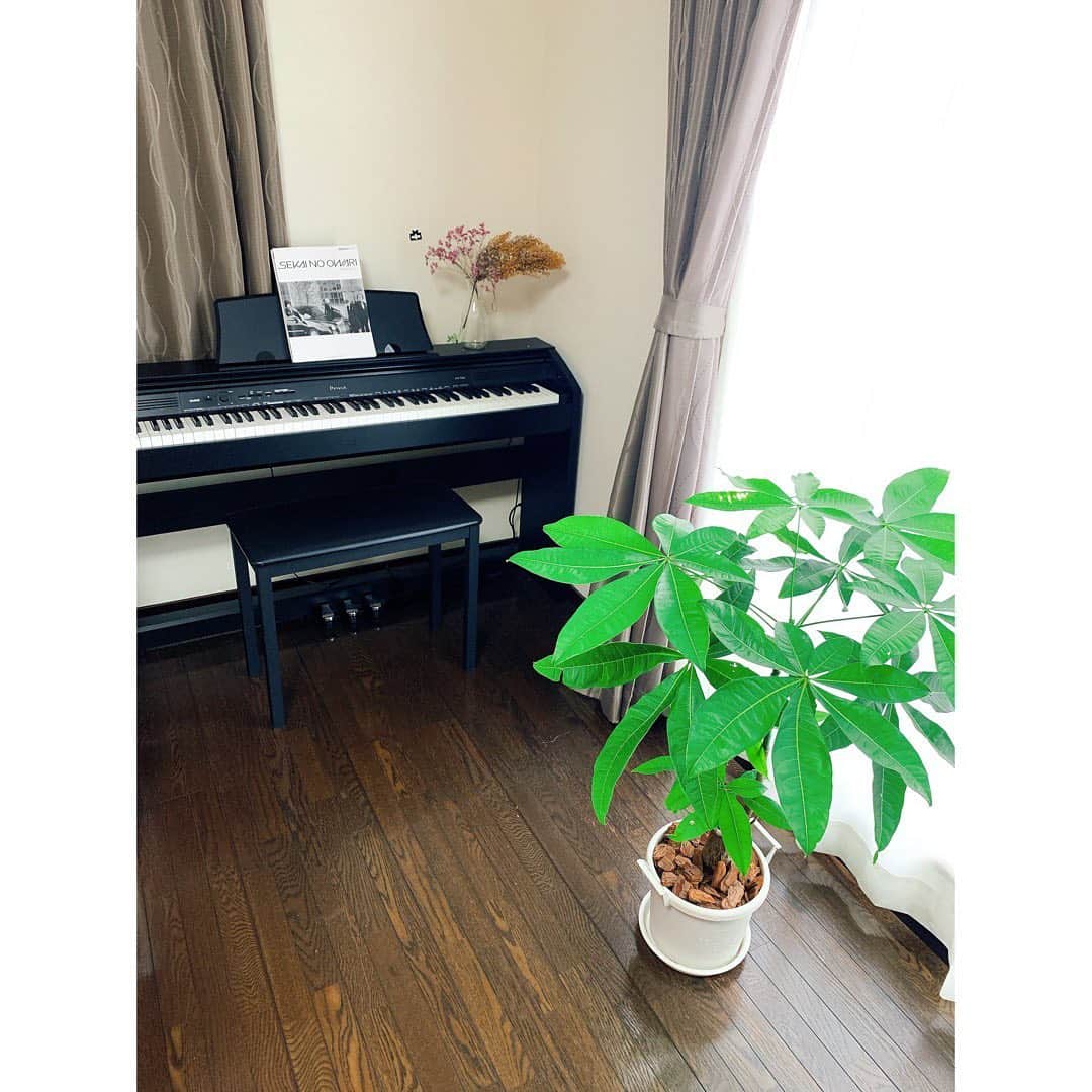 山内日菜子のインスタグラム：「. 最近、部屋の模様替えをしました✌︎ . 親友の櫻とリモートで話しながら、 方角とかも考えて家具の場所をチェンジ。 観葉植物なんか置いちゃったりして🌿笑 とっても素敵な空間になりました😌 いろいろ変えたら、気分も変わって気持ちがいい〜：） . 明日からもがんばろう〜！」
