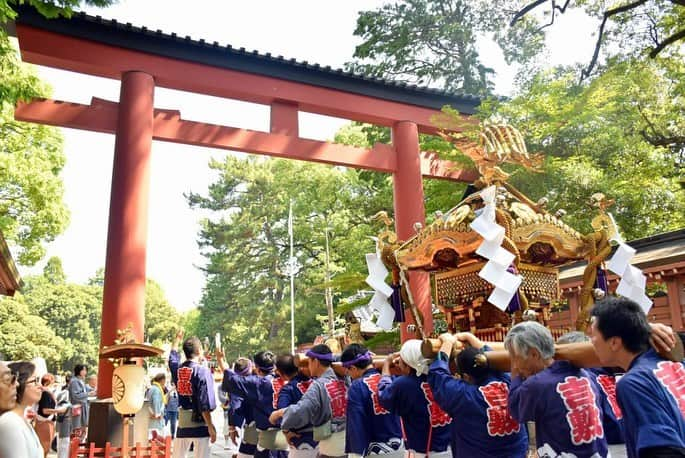 さいたまつりのインスタグラム：「【🏮埼玉の祭りハイライト🏮 〜大宮夏まつり(中山道まつり)〜】﻿ 「大宮夏まつり」は武蔵一宮氷川神社の例大祭に合わせて、古くから地元に根付いてきたお祭りです。﻿ おはらいを受けた御輿と山車が駅前に集結する姿は圧巻です⛩﻿ ===﻿ 　﻿ 1、2枚目の写真は1日目の祭りの様子。武蔵一宮氷川神社の境内に御輿と山車が勢ぞろいし、神職から安全祈願のおはらいを受けます！﻿ 　﻿ 3、4枚目の写真は2日目の祭りの様子。御輿と山車が駅前に集結し、人々の熱気が渦巻きます🔥﻿ 　﻿ ===﻿ 民踊輪おどりや和太鼓演奏なども披露され、見どころ満載の「大宮夏まつり(中山道まつり)」。﻿ ぜひ来年は足を運んで楽しんでみてください！﻿ 　﻿ ＊＊＊﻿ 2020年度の「大宮夏まつり(中山道まつり)」は、新型コロナウイルス感染拡大防止のため中止となります。﻿ 公式サイト　https://www.city.saitama.jp/…/0…/002/005/oomiya/p072650.html﻿ さいたまつりページ　https://www.saitamatsuri.jp/matsuri/omiya-nakasendo/」