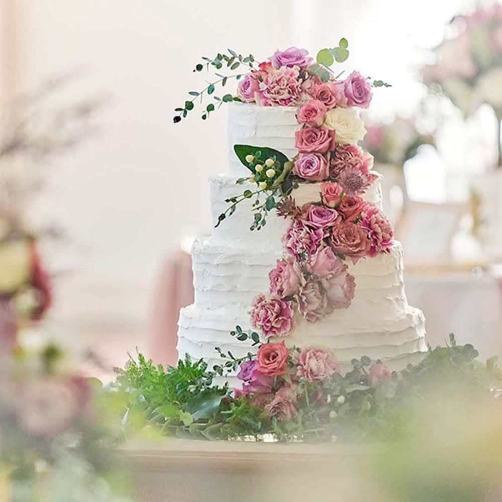 カノビアーノ福岡のグルメインスタ