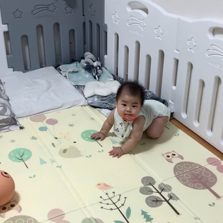野口綾子のインスタグラム