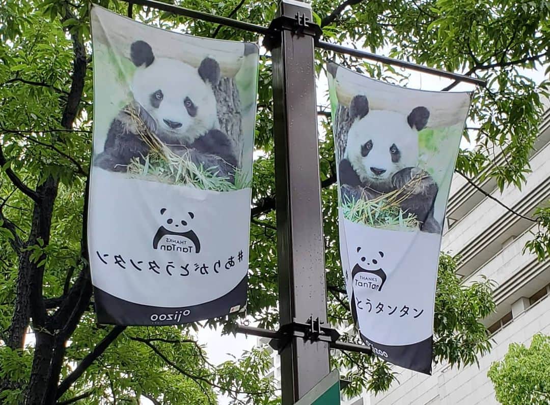 川原ちかよさんのインスタグラム写真 - (川原ちかよInstagram)「神戸の街中が タンタンへの感謝の気持ちで いっぱいになっていました。  ありがとう😊と 大好き♥️で溢れていました。  #ありがとうタンタン」7月15日 19時58分 - chikayo_baby