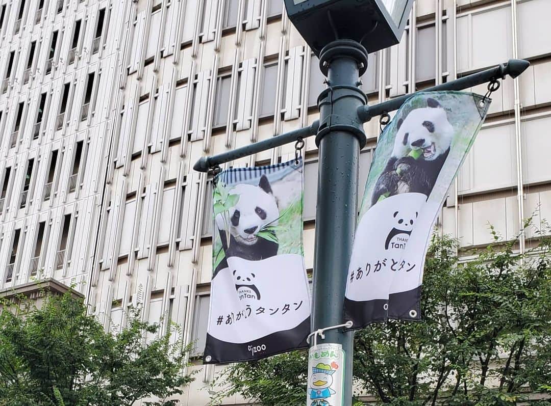 川原ちかよさんのインスタグラム写真 - (川原ちかよInstagram)「神戸の街中が タンタンへの感謝の気持ちで いっぱいになっていました。  ありがとう😊と 大好き♥️で溢れていました。  #ありがとうタンタン」7月15日 19時58分 - chikayo_baby