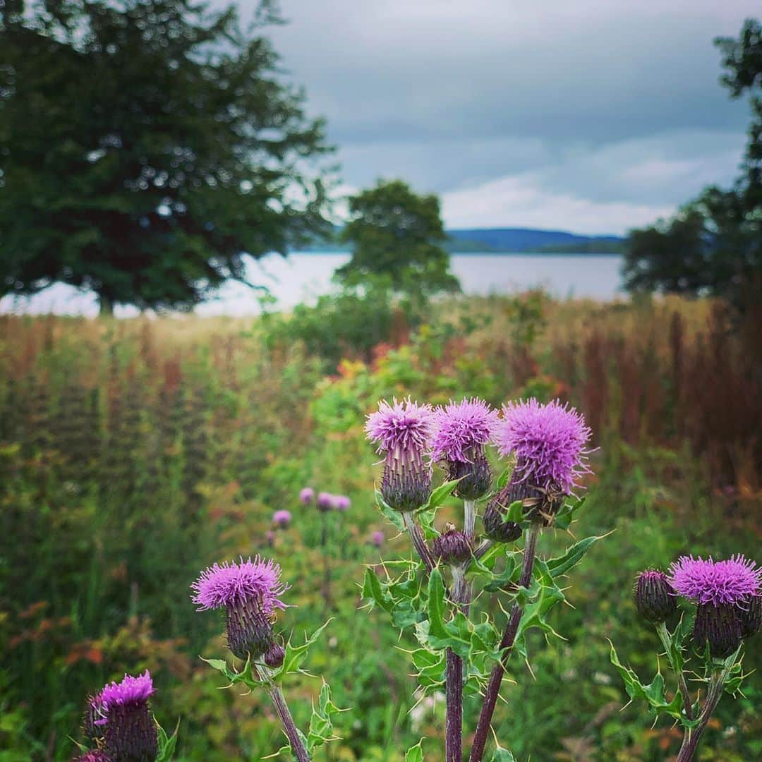 ジョーイ・バートンさんのインスタグラム写真 - (ジョーイ・バートンInstagram)「Tranquility...」7月15日 20時17分 - joey7bartonofficial