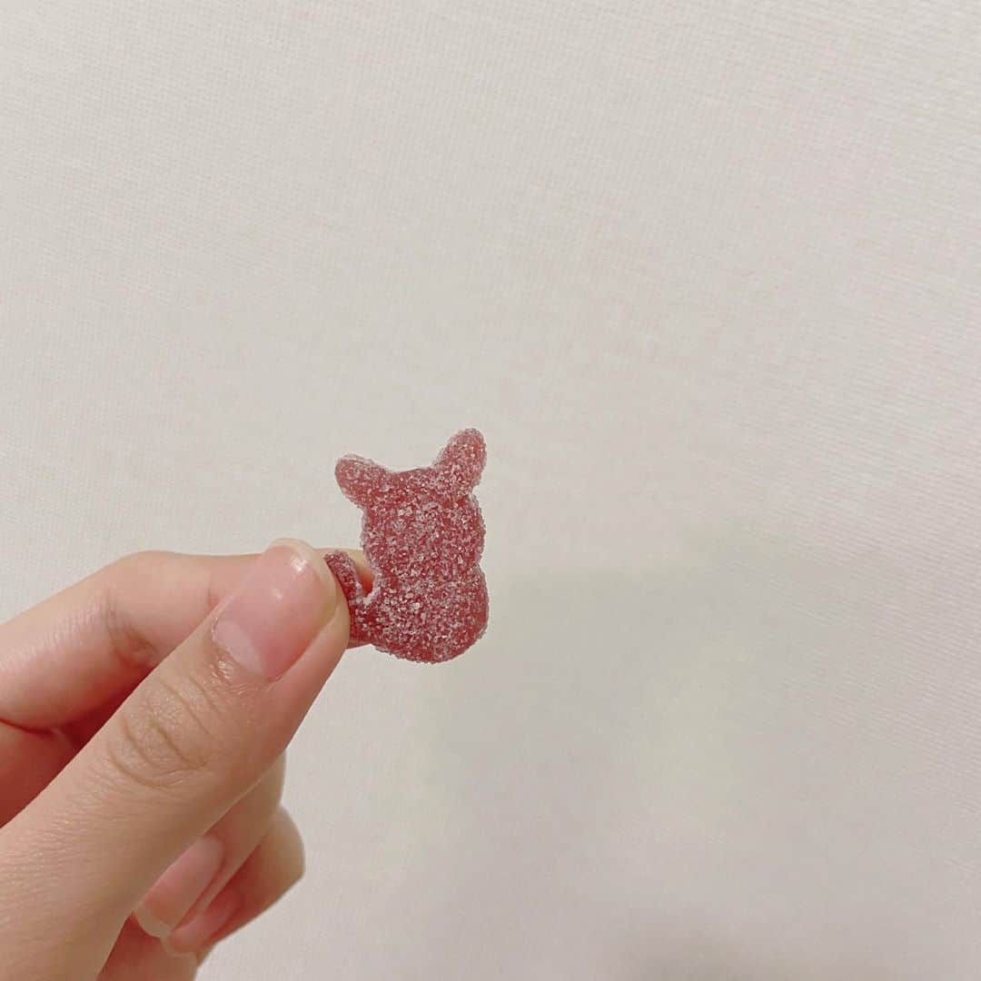 村上和叶さんのインスタグラム写真 - (村上和叶Instagram)「食べちゃってごめん。」7月15日 20時35分 - murakami_wakana