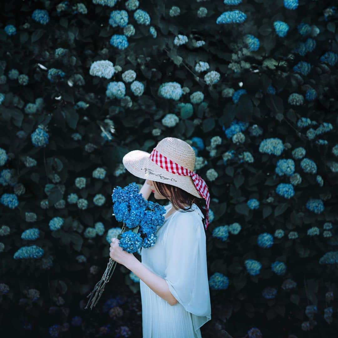 wacameraのインスタグラム：「hydrangea blue そろそろ雨に飽きてきましたね。 晴れ間が見えたから、ここぞとばかりに洗濯物を干した10分後に土砂降り。慌てて取り込んでいたら外を歩く男子学生が「ショーシャンクの空にっぽい！！」って雨に打たれて空を仰いでいて、「わかる！私もそれやりたい！ついでに強風が吹いたらTMレボリューションごっこしたくなるよね！」と心の中で叫びました。その隙に洗濯物が濡れていました。」