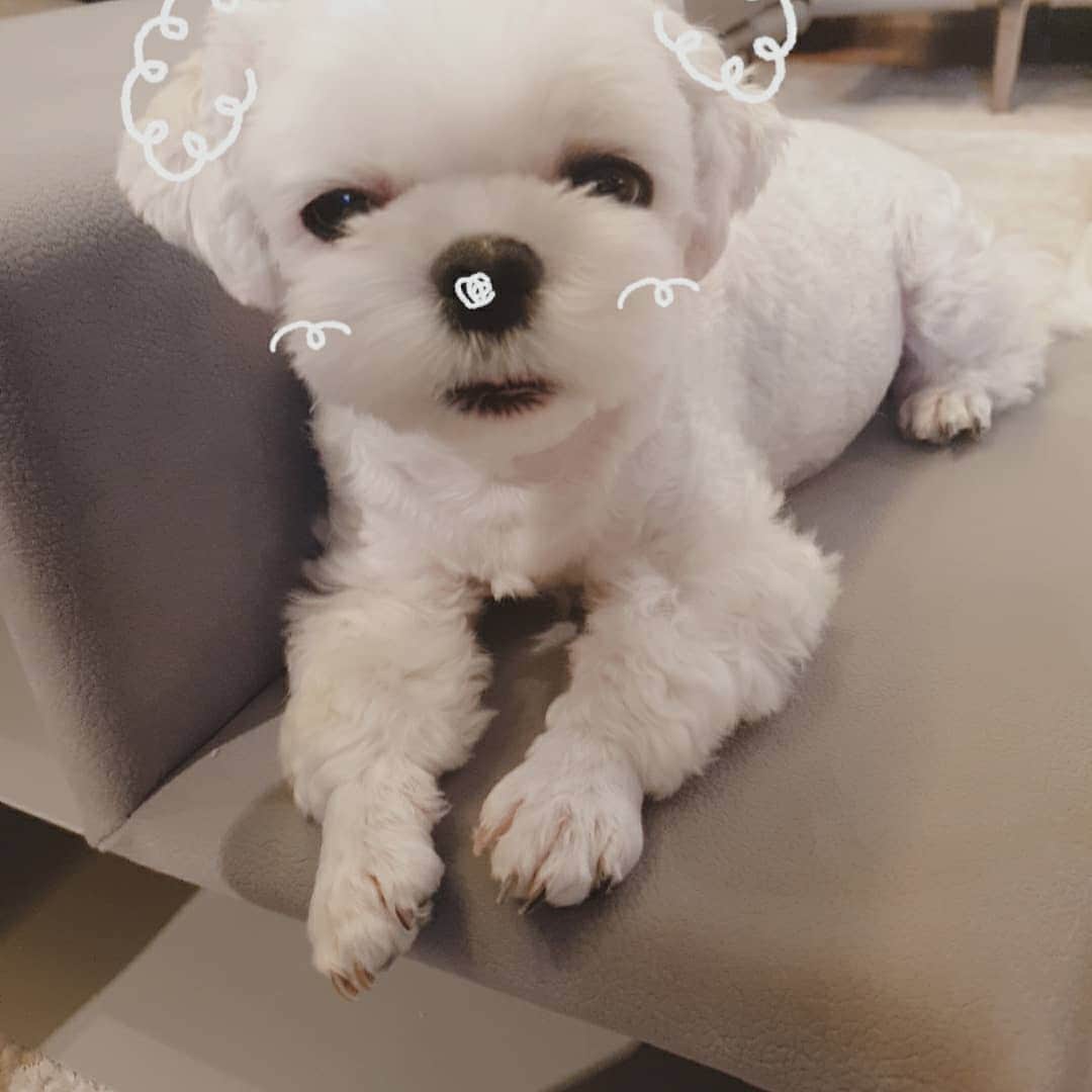 ハン・ゴウンのインスタグラム：「간만의 휴식에 집에서 이런 놀이도~~~」