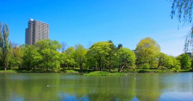 のインスタグラム：「ホテルのほど近くの大きな公園「中島公園」。⁠ ⁠ 「中島公園」の周辺の木々は季節によって、雰囲気が変わるので一年中楽しむことができます。⁠ ⁠ 桜、新緑、紅葉、そして葉の落ちた枝に真っ白な雪が乗っているのもいいものですよ。⁠ ⁠ 朝早く起きて、ウォーキングするのがおすすめです😊⁠ ⁠ ⁠ #アンワインドホテルアンドバー⁠ #unwindhotelandbar#hotelunwind#barignis⁠ ⁠ #札幌#北海道#札幌観光#北海道旅行#札幌ホテル#北海道ホテル#ペンドルトン#焚き火#キャンプ#アウトドア#中島公園#sapporo#hokkaidotrip#hokkaidohotel#hokkaidosgram#hokkaidolikers#woodenhouse#lodge#warmhouse#pendleton#genic_hotel#nakajimapark」