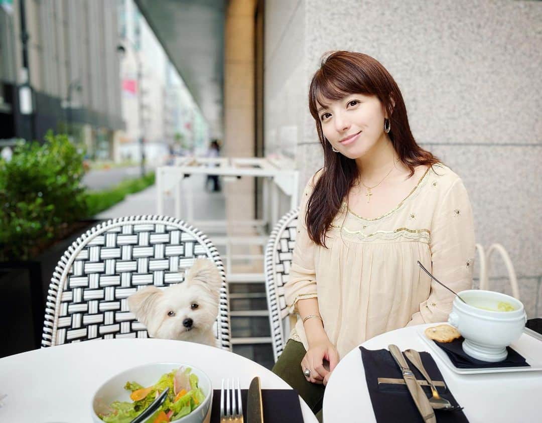 チャン・リーメイのインスタグラム：「日本橋の一角に、 ✴︎ 小さなパリがあるのをご存知ですか🇫🇷❓ ✴︎ まぁ、 ✴︎ 私が勝手に”パリ”と呼んでいる一角なのですが…😅 ✴︎ 高島屋の新館1階にある、 ✴︎ FAUCHON LE CAFE💓 ✴︎ ピンクのパラソル×モノトーンのチェア ✴︎ なんとも可愛くて、気分はParis🇫🇷✨ ✴︎ わんこOKの素敵なカフェです🍰 ✴︎ わんこメニューはないものの、 ✴︎ 店員さんも、お店も、わんこにフレンドリーで、ランチもとっても美味しいです😍💓 ✴︎ 高島屋は、ケージにin していれば、食品フロア・レストランフロア以外はショッピングも可💖 ✴︎ もちろんマナーは守ってネ✨ ✴︎ 大好きな都内の🐶スポットのご紹介でした😊 ✴︎ #日本橋高島屋　#fauchionlecafe #愛犬とおでかけ　#ドッグカフェ　#dogslover #フォション　#フォションカフェ」