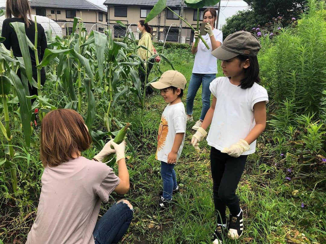 ヒデトレのインスタグラム：「🌽@kiraboshi_farm」