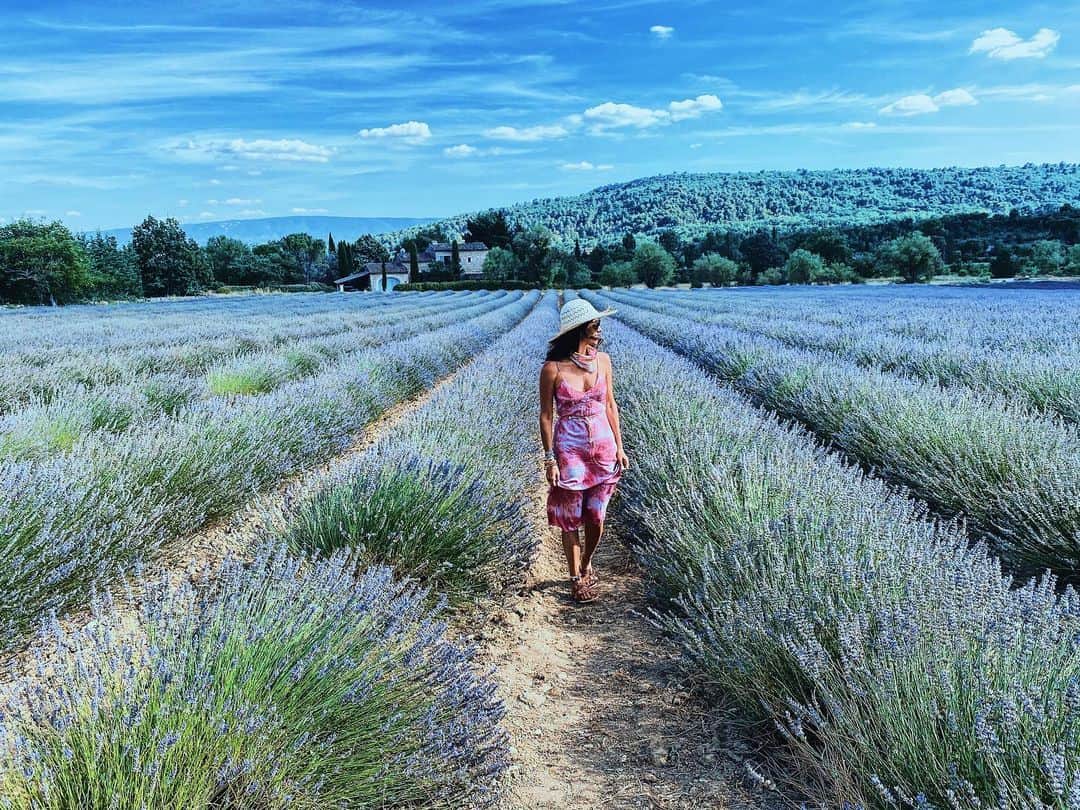 ダニジョーのインスタグラム：「Lost in lavender fields 🇫🇷」