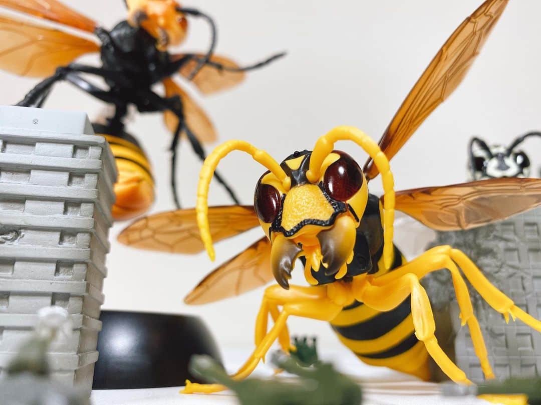ぎわちん。さんのインスタグラム写真 - (ぎわちん。Instagram)「巨大昆虫の絶望感たるや 恐竜の100倍怖い #蜂 #bee #hornet  #wasp  #スズメバチ #オオスズメバチ #雀蜂 #ガシャポン #ガチャ #すずめばち」7月15日 21時51分 - giwa_chin