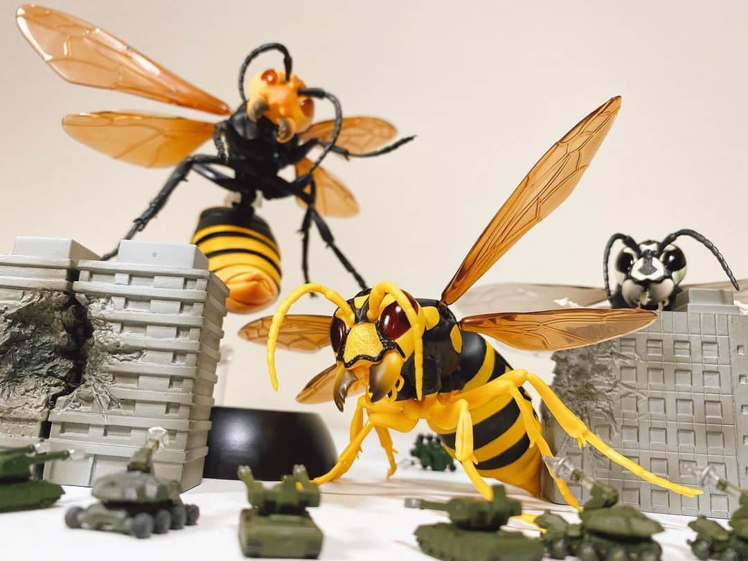 ぎわちん。さんのインスタグラム写真 - (ぎわちん。Instagram)「巨大昆虫の絶望感たるや 恐竜の100倍怖い #蜂 #bee #hornet  #wasp  #スズメバチ #オオスズメバチ #雀蜂 #ガシャポン #ガチャ #すずめばち」7月15日 21時51分 - giwa_chin