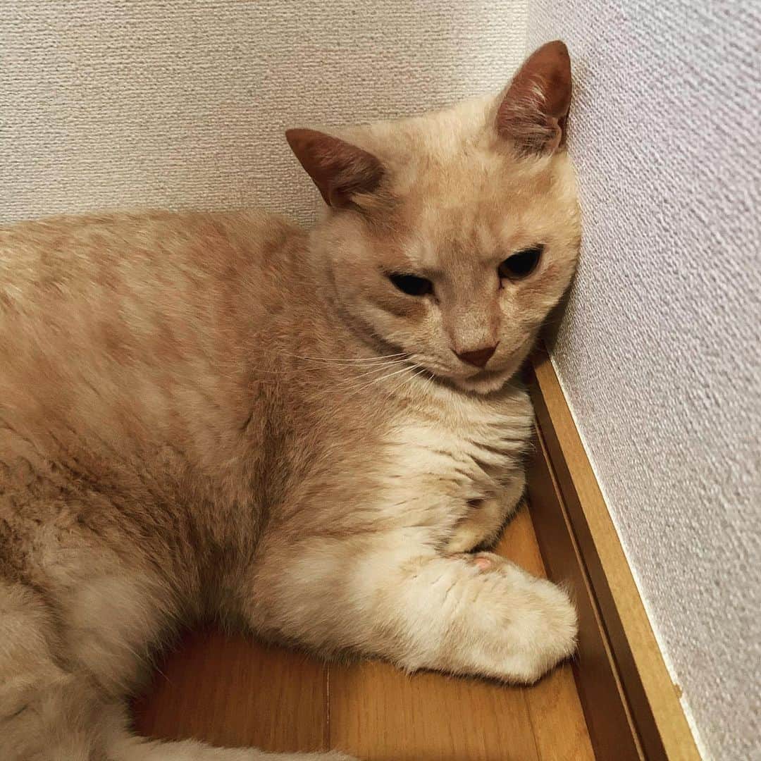 飯田カヅキのインスタグラム