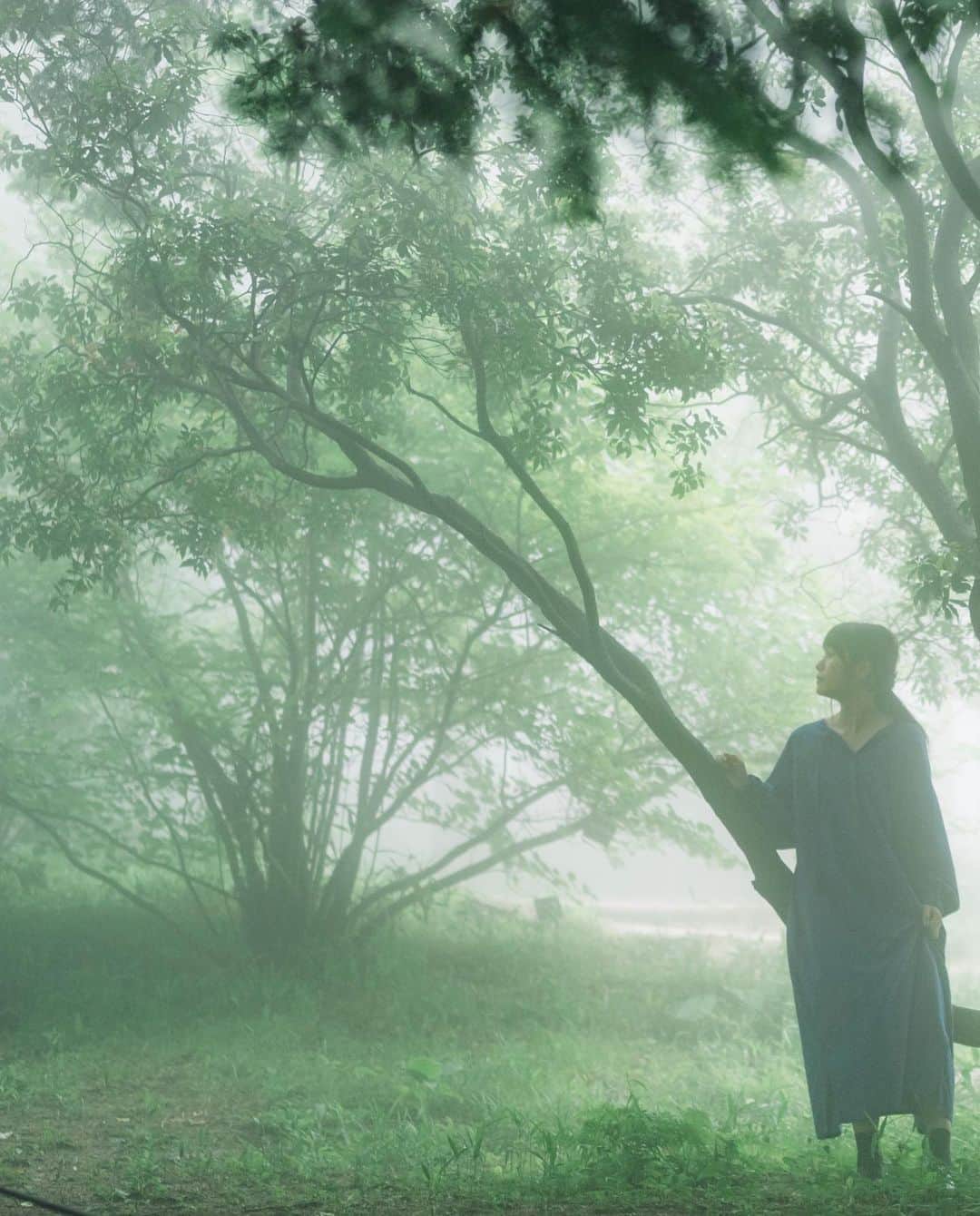 shinichi38のインスタグラム：「﻿ ﻿ Deep forest 🌲🌲🌲」
