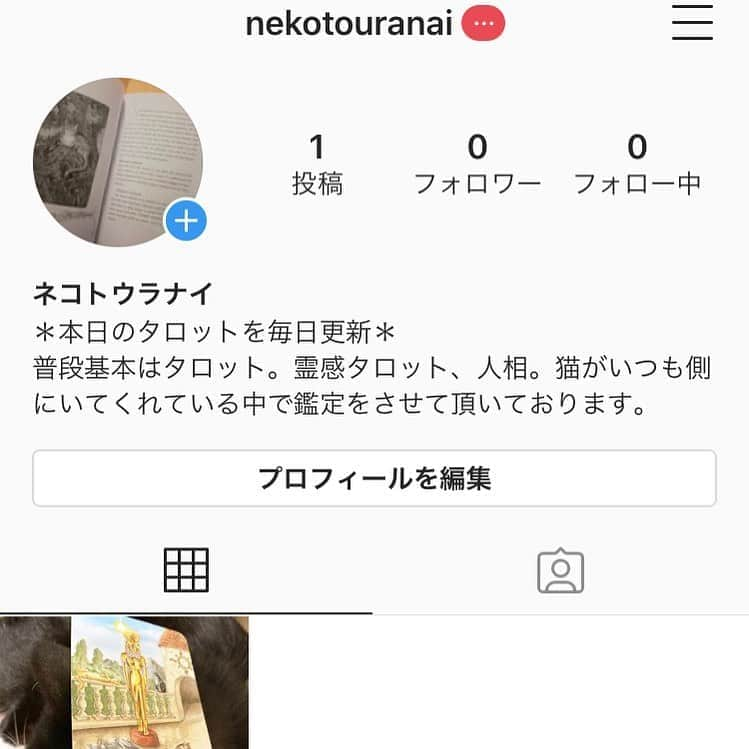 岩政久美子のインスタグラム：「ここでタロット上げてもなぁ〜と思ったので、別アカウント作りました🌟 もし、ご興味のある方はフォローしてやってくださいませm(_ _)m♡」