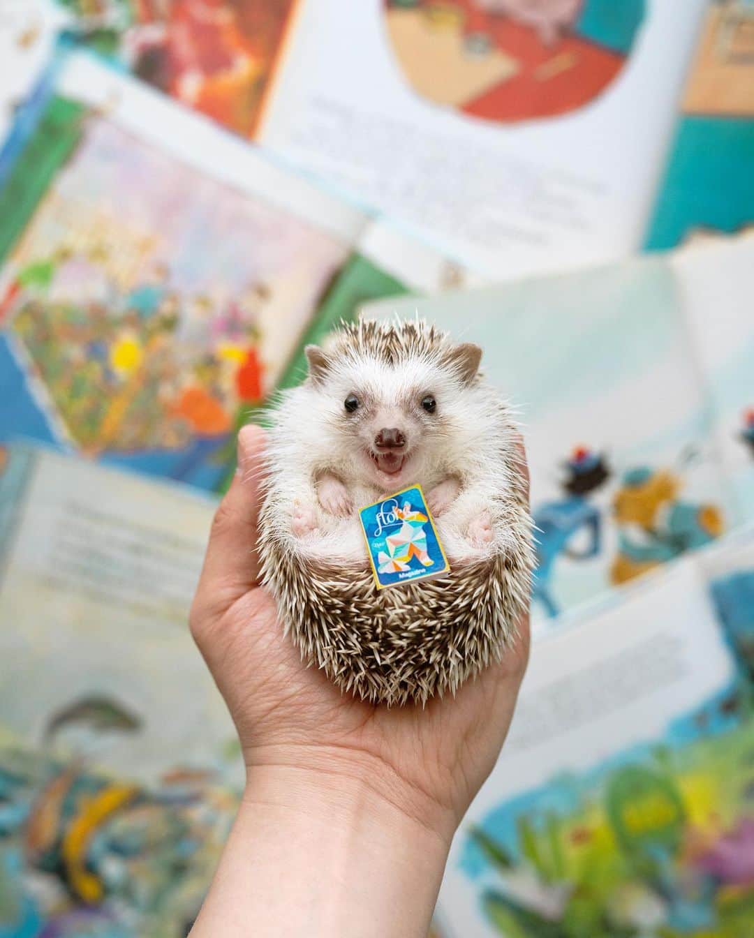 ダーシーのインスタグラム：「It's time for a bedtime story🌝📚✨」