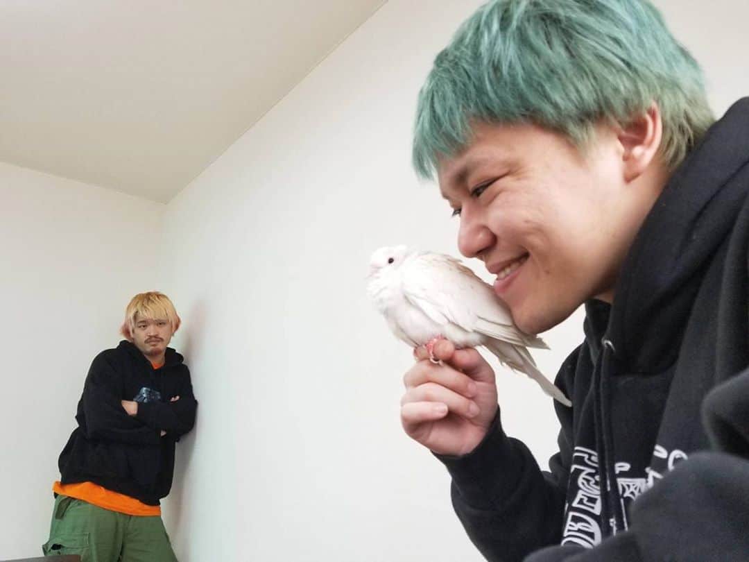 相馬トランジスタのインスタグラム：「鳩嫌いワキガと鳩やや好きシャクレ  #毎日笑顔日記 #コメントNGワード「顎」」