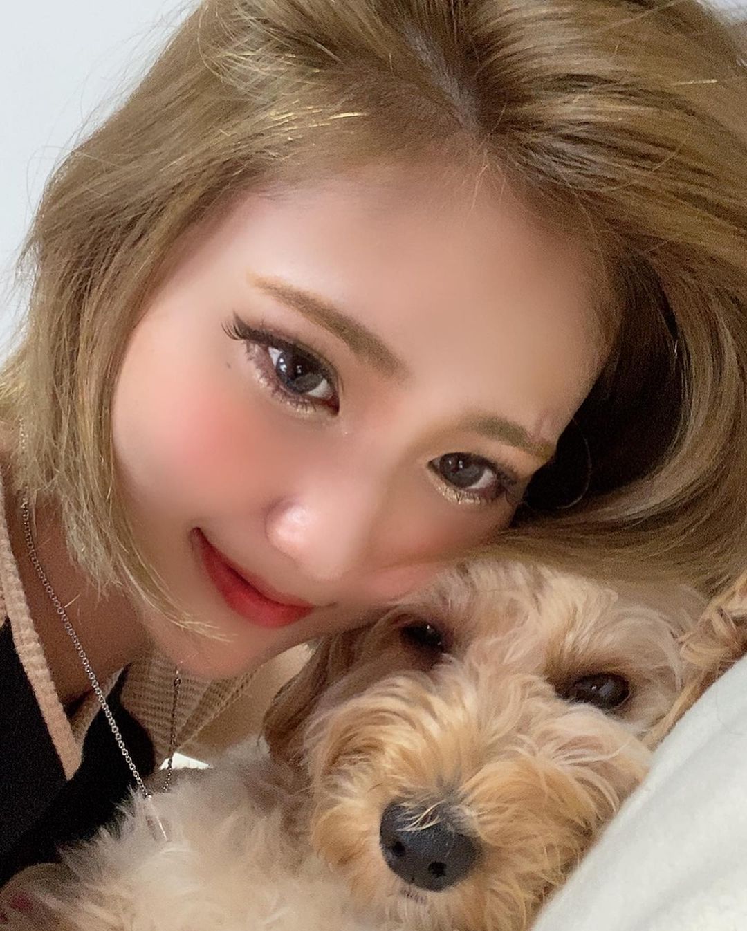 守田美咲のインスタグラム：「ななちやん🐶💓🎀 毎日かわいい🥺 性格は凄い凄い凄い甘えたさん🥰  #愛犬 #キャバプー #だいすき #癒し」