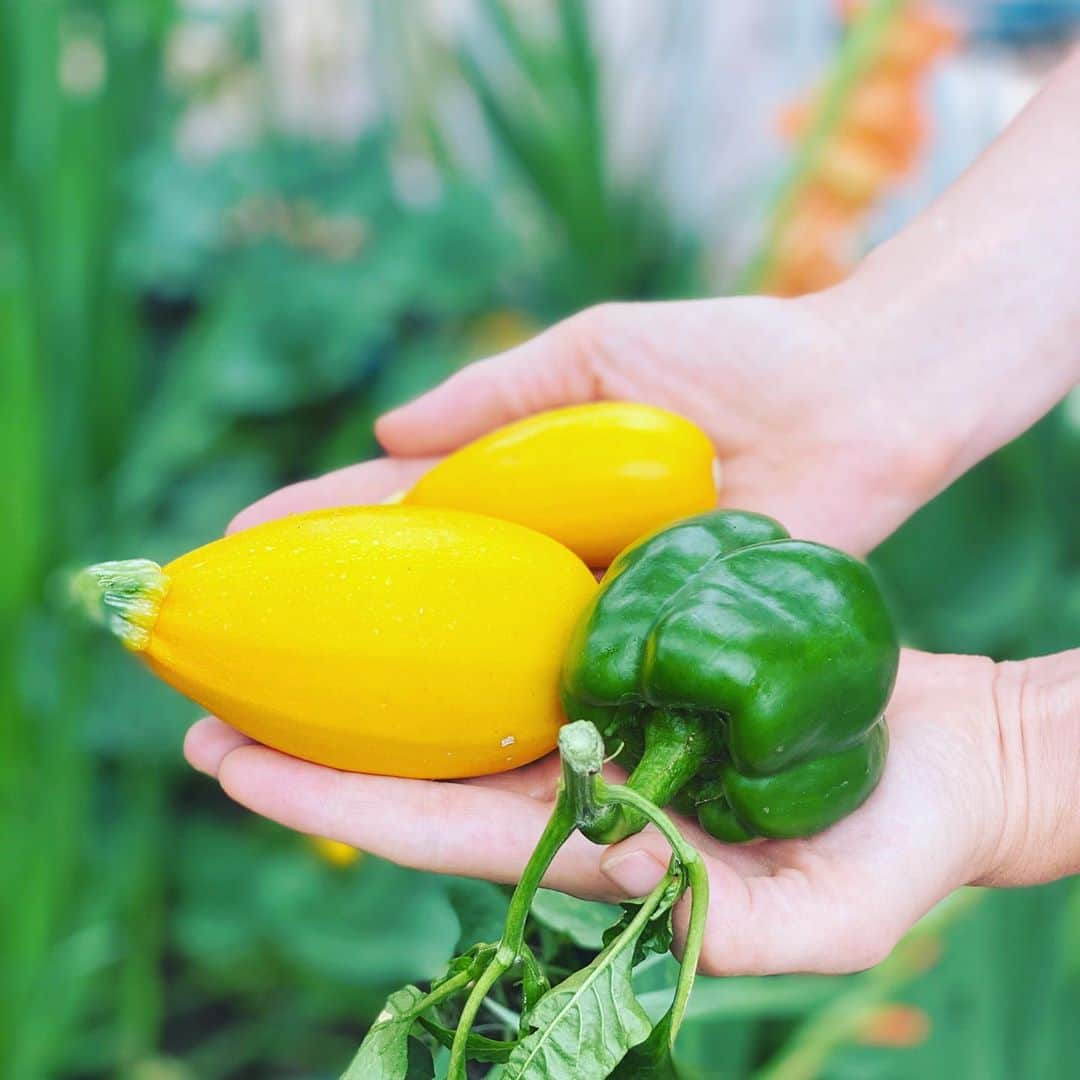 クリスのインスタグラム：「野菜を育ててくれた奥さんに感謝！🥰🧑‍🌾🌎🌈✨」