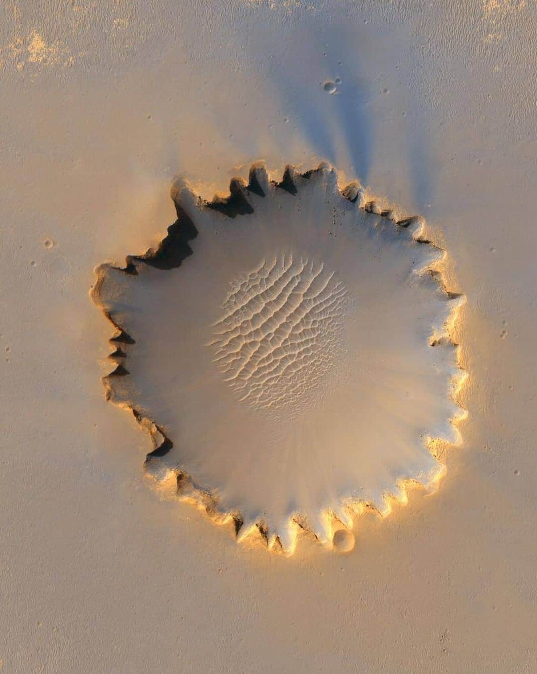Discoveryさんのインスタグラム写真 - (DiscoveryInstagram)「This image from the High-Resolution Imaging Science Experiment on NASA's #Mars Reconnaissance Orbiter shows #VictoriaCrater, an impact crater at Meridiani Planum, near the equator of Mars. The crater is approximately 800 meters (half a mile) in diameter. It has a distinctive scalloped shape to its rim, caused by erosion and downhill movement of crater wall material. Layered sedimentary rocks are exposed along the inner wall of the crater, and boulders that have fallen from the crater wall are visible on the crater floor. The floor of the crater is occupied by a striking field of sand dunes.   Photo + Caption: @NASA/JPL-Caltech/University of Arizona/Cornell/Ohio State University」7月16日 0時12分 - discovery