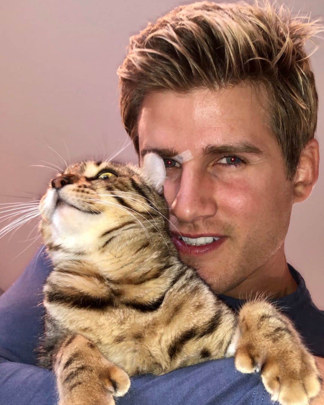 セージ・ノースカットのインスタグラム：「My cat Gucci」
