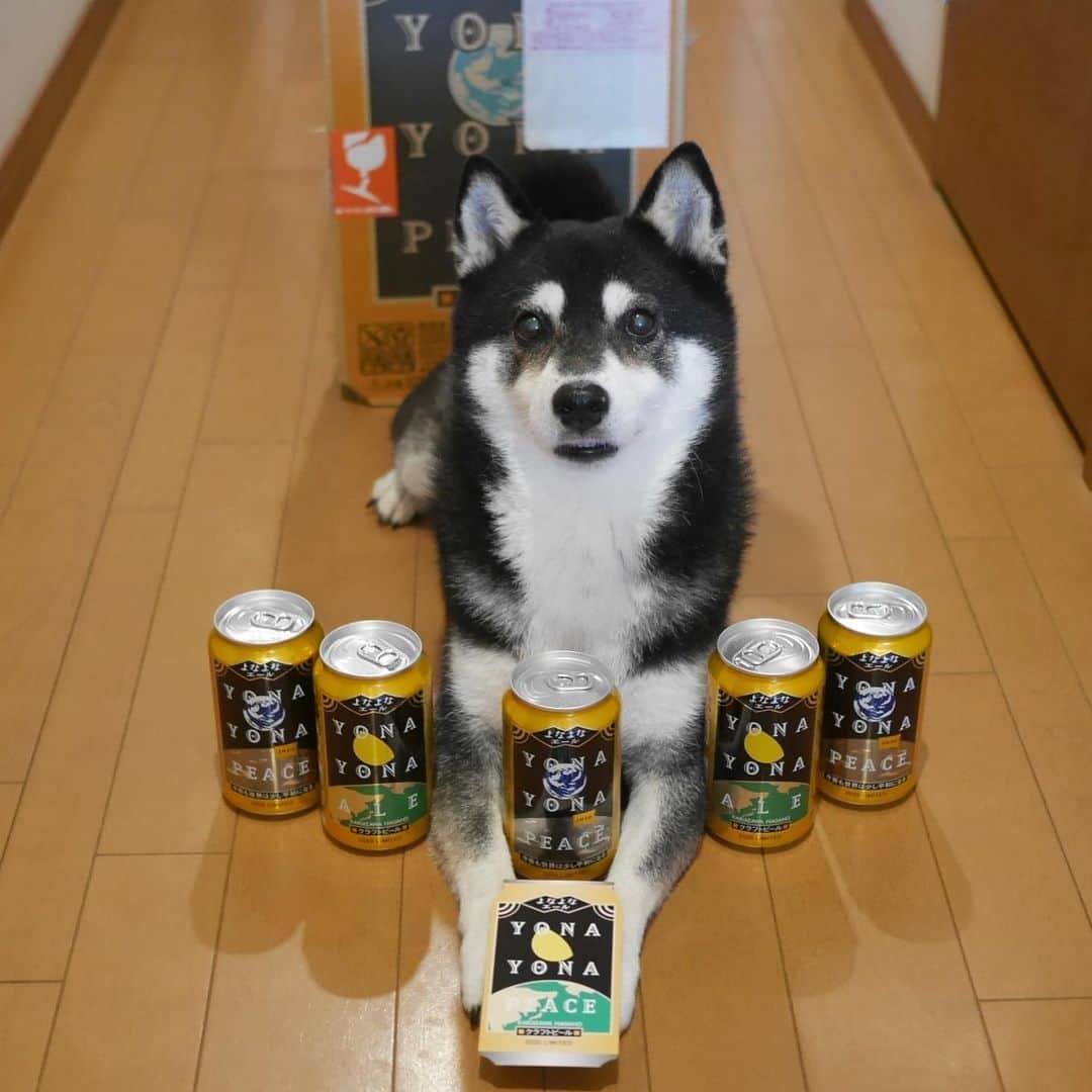 くろのインスタグラム
