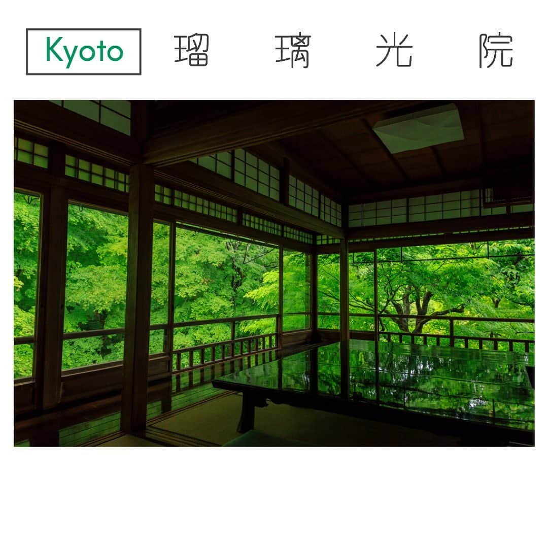 Skyticket.jpさんのインスタグラム写真 - (Skyticket.jpInstagram)「いつか行きたい旅計画 📖🧳🗺﻿ なかなか自由に出歩けない今日この頃。そこで、おうちにいる今だからこそ、いつか行きたい旅の計画を立ててみませんか？ ﻿  ﻿ ﻿ 京都🌱瑠璃光院 ﻿ #京都 の左京区にある#瑠璃光院 は、幻想的な絶景を体験することができることで注目を浴びています。特に書院の2階に上がると、机や廊下が外の葉の季節色に反射し、何とも言えない世界が広がるのです。 ﻿ 春夏には新緑の青紅葉で部屋が緑色に染まり、紅葉の季節には部屋が真っ赤に染まります。年によって限定公開の時期が異なるので、ぜひこの絶景をお目当てに京都観光をお考えでしたら公開時期を要チェックです。 ﻿ ﻿ ◆青もみじの季 特別拝観◆﻿ マスクの着用・ソーシャルディスタンスの確保をお願いします。﻿ ﻿ 　〇期間：6月1日（月）～7月31日金）﻿ ﻿ 　〇拝観時間：10：00～17：00﻿ ﻿ 　〇拝観料：一般2,000円﻿ ﻿ 　　※拝観予約受付はございません。﻿  ﻿ スカイチケット観光ガイドでは京都に行ったら見ないなんてもったいない！絶景スポットをご紹介します。 https://skyticket.jp/guide/58573 ﻿ ﻿ 🍃🍃🍃🍃🍃🍃🍃🍃﻿ 瑠璃光院 ﻿ 住所：京都府京都市左京区上高野東山55 ﻿ アクセス：「出町柳駅」から叡山電車（八瀬比叡山口行）にて ﻿ 「八瀬比叡山口駅」（終点）下車。徒歩５分 ﻿ 地下鉄「国際会館駅」から京都バス（大原・小出石行）にて ﻿ 「八瀬駅前」下車。徒歩７分 ﻿ http://rurikoin.komyoji.com ﻿ 🍃🍃🍃🍃🍃🍃🍃🍃﻿ ・ ﻿ ・ ﻿ ▼旅先の絶景やおすすめ写真を大募集📷 ﻿ #skyticketrip を付けた投稿はストーリーズでご紹介させてください🌈 ﻿  ﻿」7月16日 11時38分 - skyticket.jp