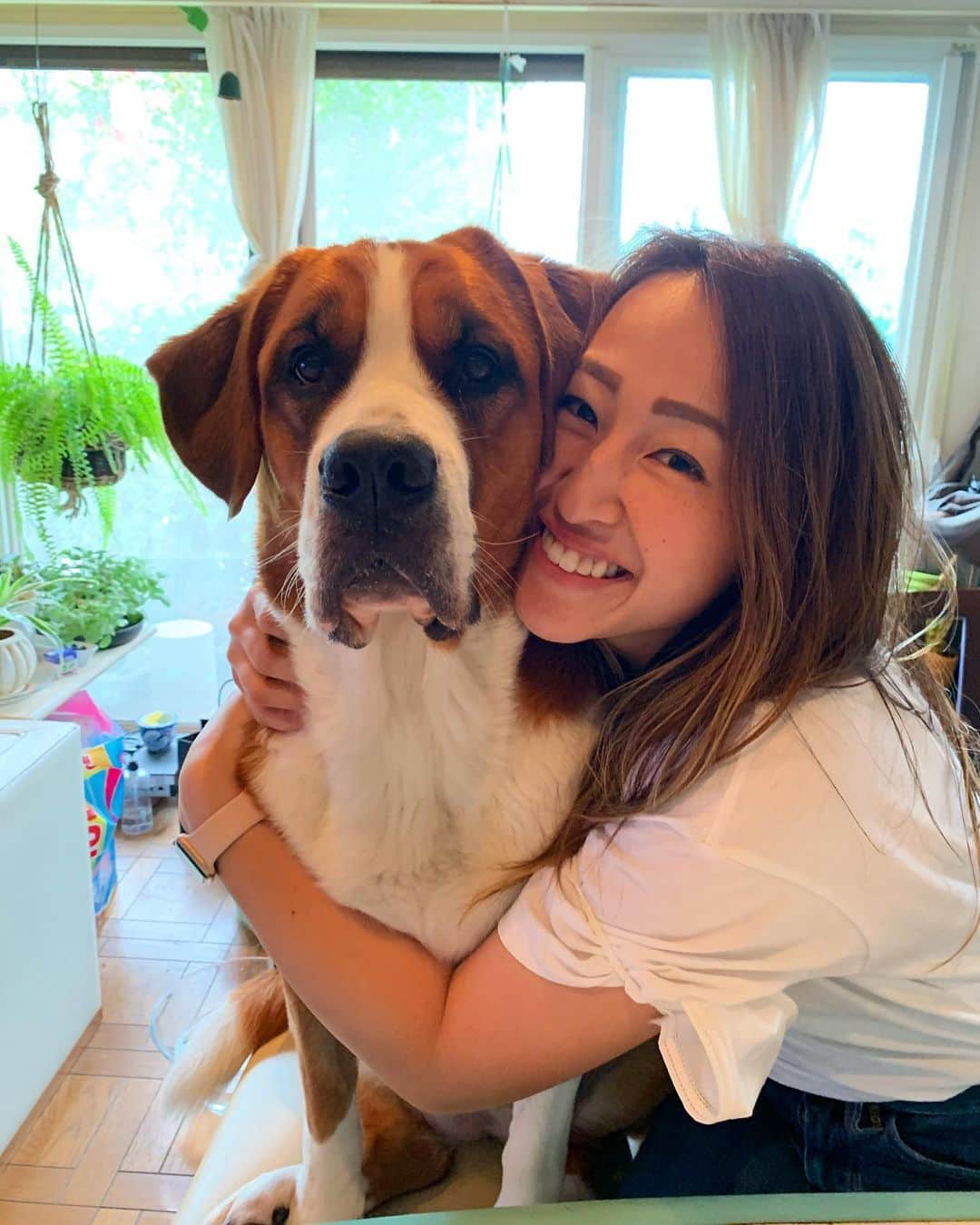 菊池沙都のインスタグラム：「あんちゃんのROXY🐶❤️ はい、とってもとっても可愛すぎます。 一緒にビデオミーティングしました。 #ROXY#愛しい#おりこうさん#ハグにきゅん」